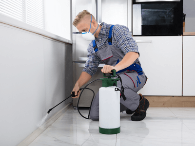 About Restaurant Pest Control Groveton - restaurant pest control experts in Groveton